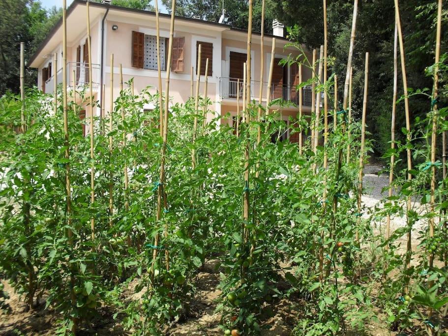 Apartment In Nature,10Min From City ペルージャ エクステリア 写真